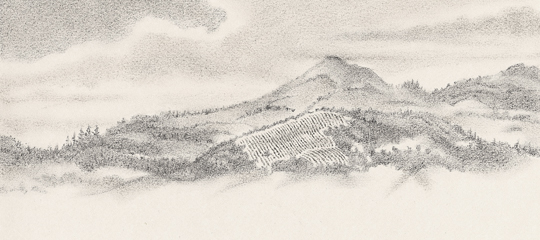 Mindego Ridge Illustration