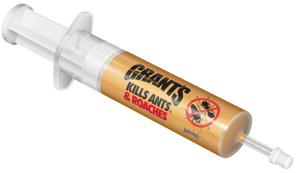 grant's ant bait syringe